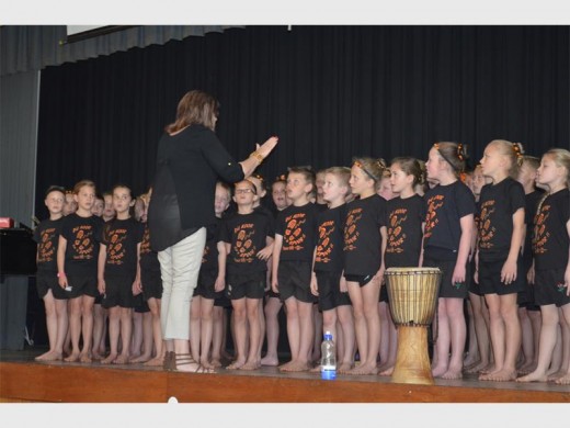 Laerskool Kenmare se koor.