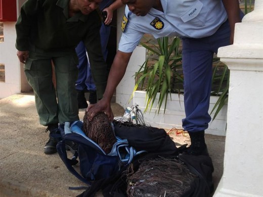 Police and security personnel with the stolen cables.