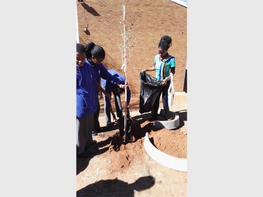 Mandisa Mqolombeni and the pupils planting the trees.