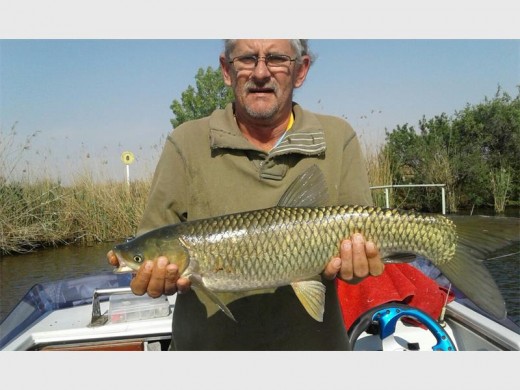Vossie Voster won the veterans' category of the LTB inland angling championships using only traditional bait and absolute skill. Photo: supplied