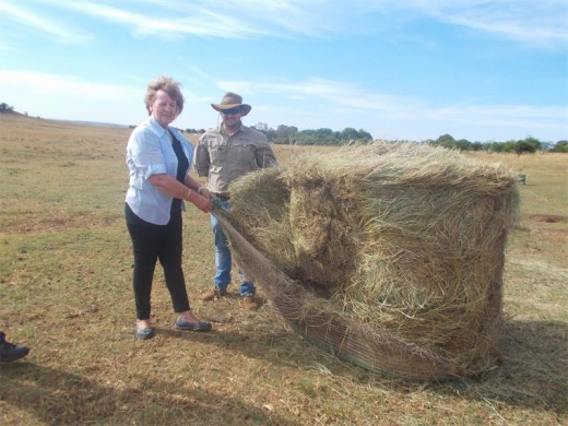 MMC of Intergrated Environment Management Annette Fourie with new lodge manager and game resort manager, George van der Wat.