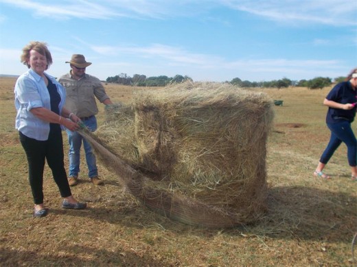 MMC Annette Fourie with one of the feed bales.