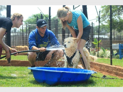 Volunteers Kyle and Jared Lee with Amber Corbet, giving J-Lo, a rescued husky, a bath on Spring Day.