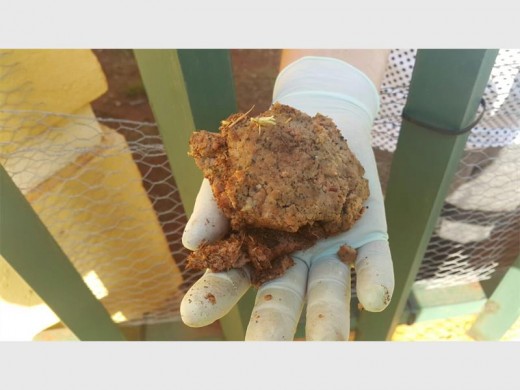 CPF members found these traces of meat filled with Two-Step in the yards where dogs had been poisoned. Photo: CPF Sector 7.