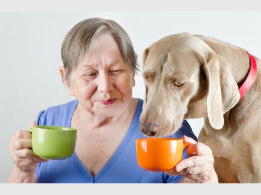 If you look hard enough you might find someone who is willing to take your pets into their home and care for them during your holiday.  Make sure that person will treat your pets as if they were part of the family too.  Photo: expertbeacon
