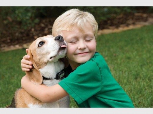 If all else fails, why not ask a family member or friend to regularly pop into your home to feed your pets and give them water?  Photo: Get up Kids
