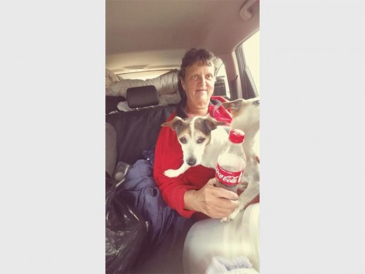 Elmien en haar Jack Russel op pad na hul nuwe lewe wat nie vir almal so goed uitgewerk het nie.