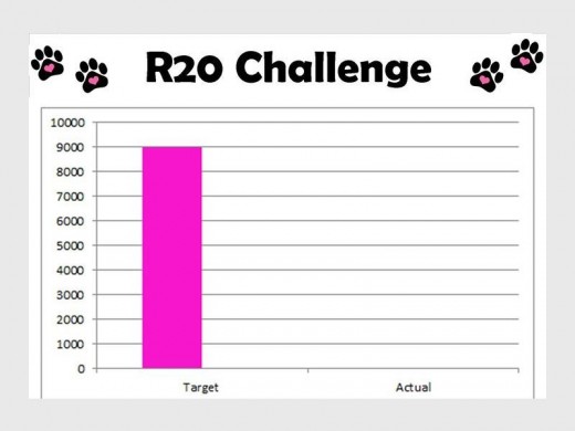 The R20 challenge set by The 9th Day Animal Shelter.