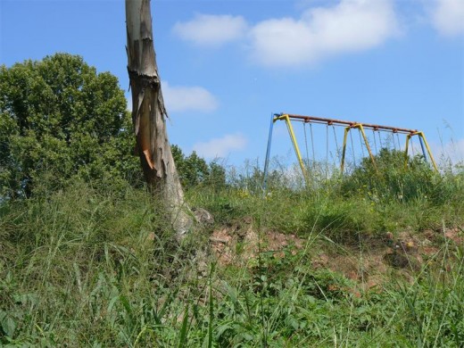 The long grass in the Skreen Road park poses a threat for children wanting to play in the park and is in a hideous condition.