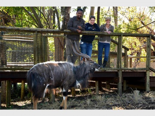 Explore the grounds of the park complex and you even get to see some wildlife while doing so.