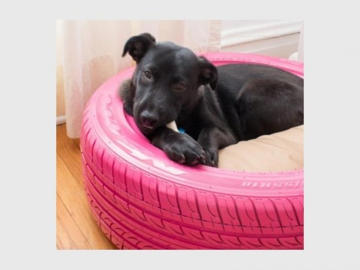 A tyre doggie bed.