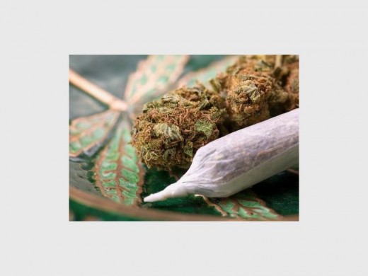 New legislation that may be implemented as soon as April 2017 will move cannabis from a schedule 7 to a schedule 6 substance. This means it can be researched for its medical abilities, but the substance remains illegal to grow, sell and use. Photo: Medical Daily