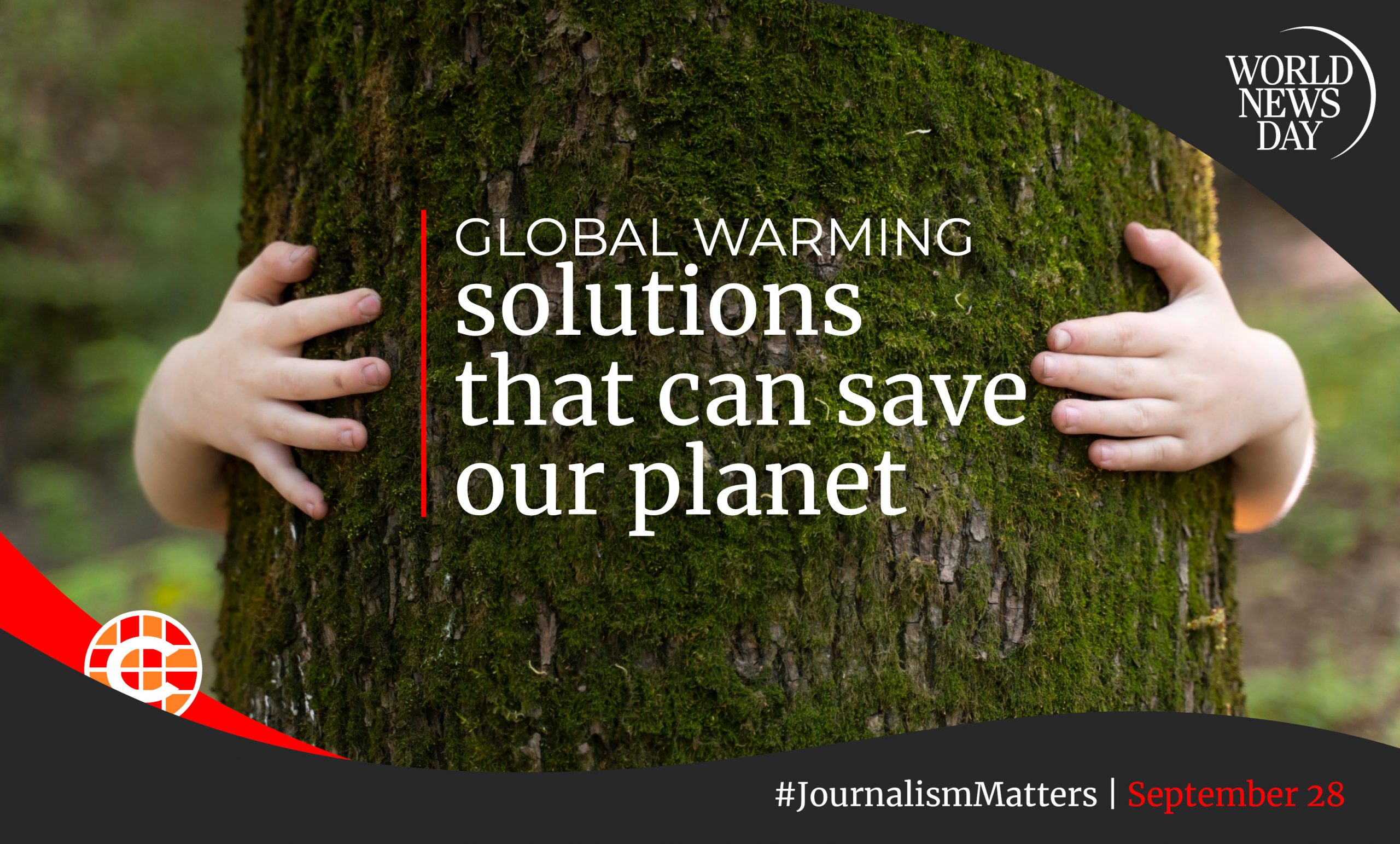 Global warming solutions that can save our planet | Krugersdorp News