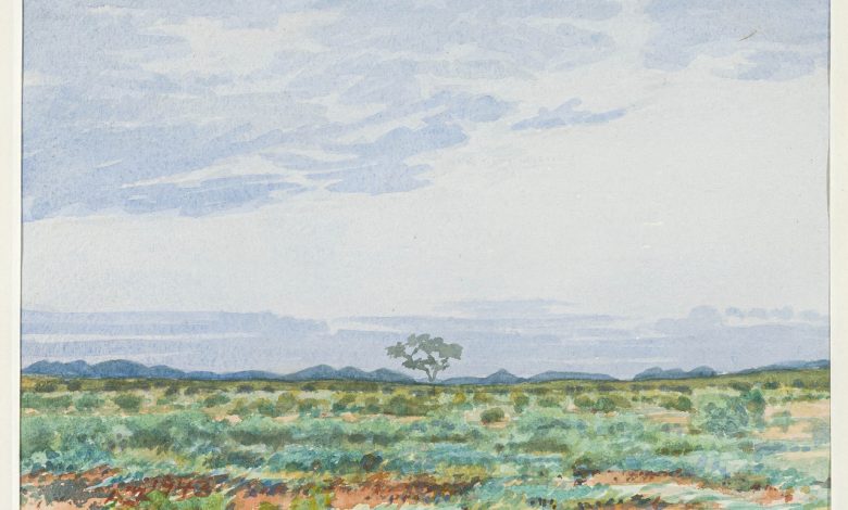 Adolph Jentsch; S.W. Afrika