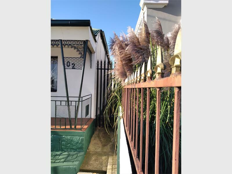 Although pretty, pampas grass is illegal