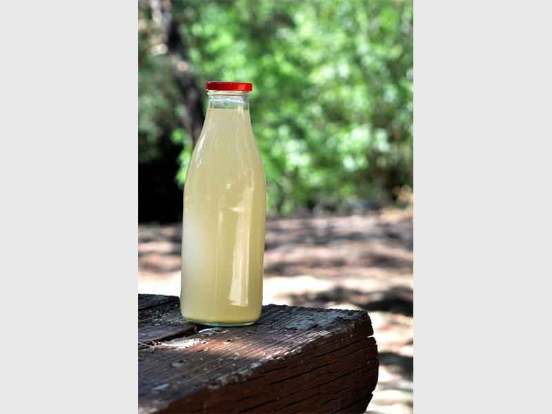 How To Make Your Own Ginger Beer How To Make Your Own Ginger Beer