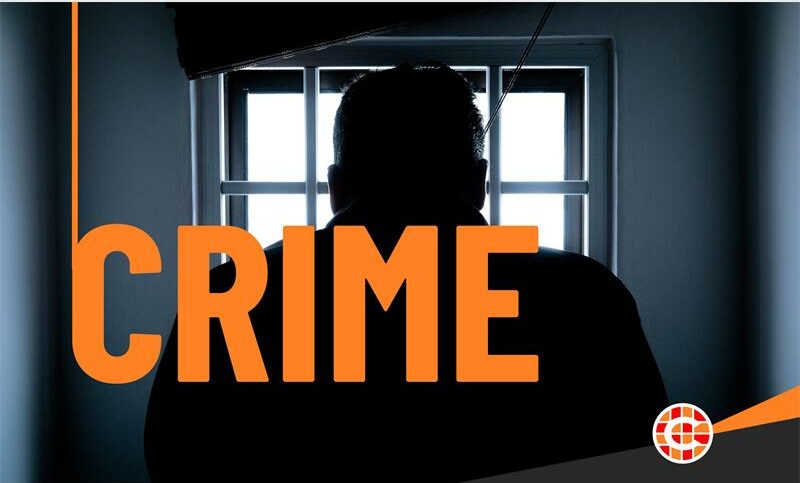 Police in the West Rand made 11 arrests as part of a province-wide crackdown that saw 446 suspects detained.