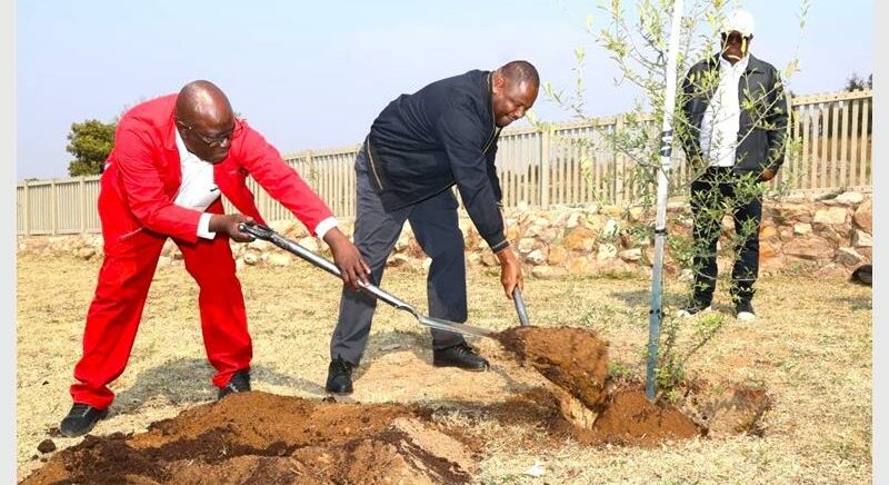Residents, businesses and schools are urged to join the municipality in its quest to plant trees to create a healthier and greener future.
