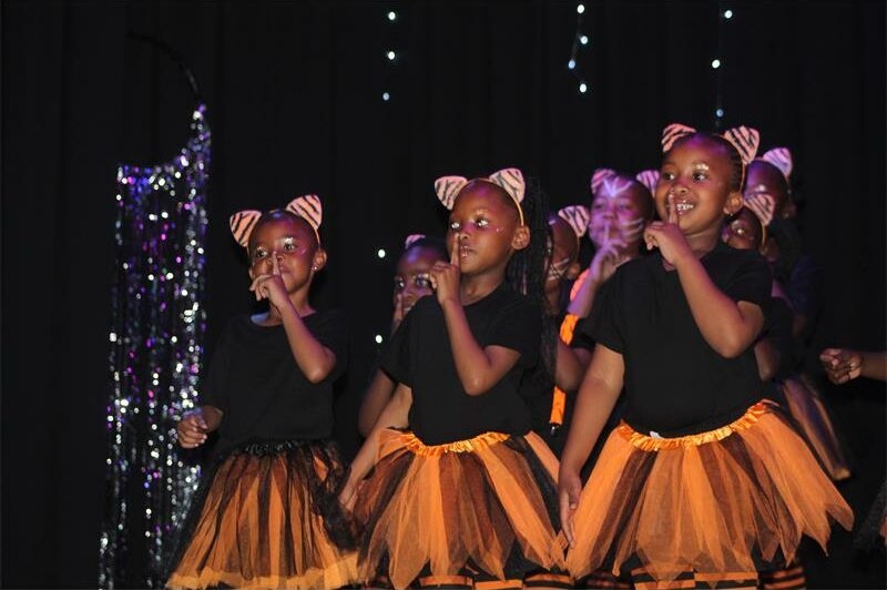 Nearly 600 learners from Laerskool Millennium wowed audiences with their creativity and dance at the school’s lively revue.