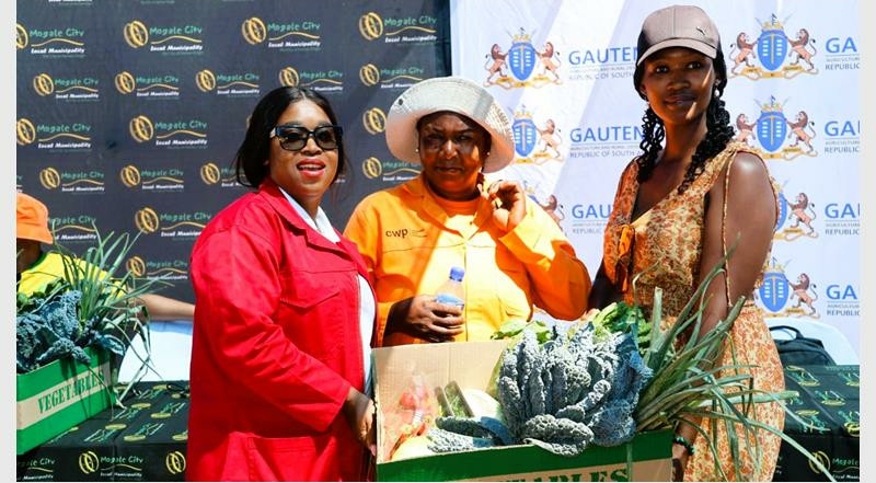 Residents learned how to turn their backyards into productive food gardens during a hands-on World Food Day event at Tarlton Agri Park.