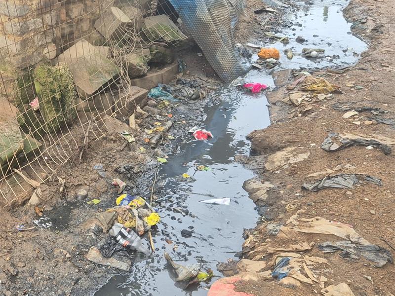 An oversight visit has highlighted severe overcrowding, poor service delivery and mounting environmental concerns in Pikoko informal settlement.