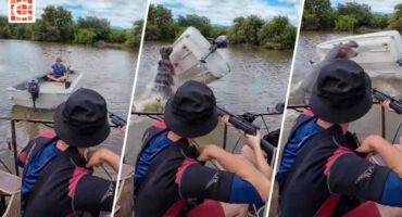 Watch Wildlife capturer’s son survives hippo boat flip near Hoedspruit
