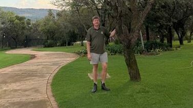 Met sy vinnige groei, lae waterbehoeftes en elegante voorkoms is die gewone haakdoring ideaal vir Suid-Afrikaanse tuine.