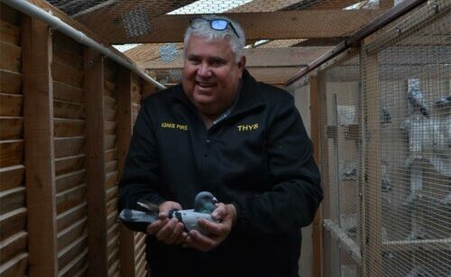 Van 5km-oefenvlugte tot 950km-wedvlugte – Thys Steenkamp deel sy liefde vir ’n sport wat reeds meer as ’n honderd jaar gelede in Suid-Afrika vlerke gekry het.