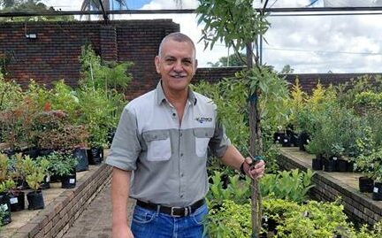 Inwoners word uitgenooi na ’n insiggewende sessie oor die geharde en unieke bergkaree, aangebied deur die Dendrologiese Vereniging van Suid-Afrika.