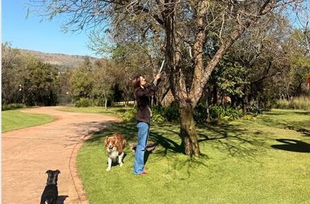 Ontdek hoekom hierdie vinniggroeiende, rypbestande boom 'n gunsteling vir voël- en wildtuine is, en hoe om dit behoorlik te versorg.