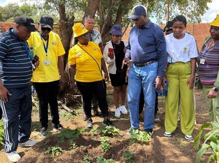 A community-driven gardening initiative is helping West Rand residents fight food insecurity by turning churches and local institutions into centres of nourishment and support.