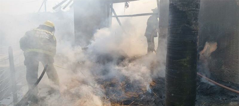 The incident serves as another reminder of how quickly grass fires can spread to nearby properties during the dry season.
