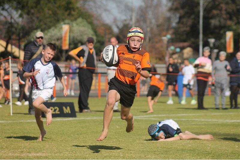 Laerskool Kenmare se eerste span en o10A-span is as Goue Leeus-kampioene gekroon, terwyl nog 12 spelers vir provinsiale spanne gekies is.