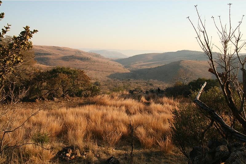 Residents, businesses and landowners have until September 14 to comment on Mogale City's draft plan that will help shape future development in Muldersdrift and Lanseria.
