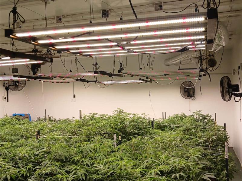 Krugersdorp police and the West Rand K9 Unit were among the teams involved in an operation that led to a drug-related arrest in Hartzenbergfontein.