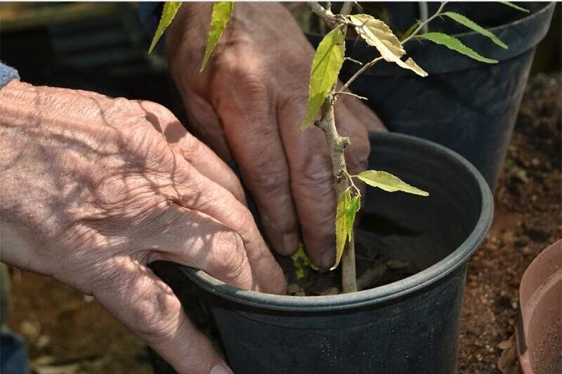 Ontdek meer oor plantvoortplanting, koraalbome en uitheemse indringerspesies tydens ’n gratis natuurgeleentheid op 17 Oktober.
