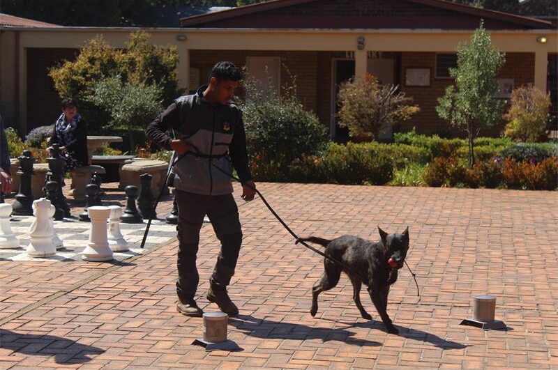 Learners at St Ursula's have stepped up to support sniffer dogs working on the front lines of wildlife protection.