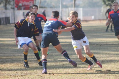 IMG_3342 (Medium)
