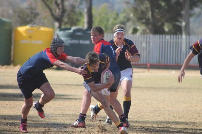IMG_3348 (Medium)