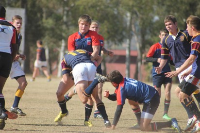 IMG_3419 (Medium)