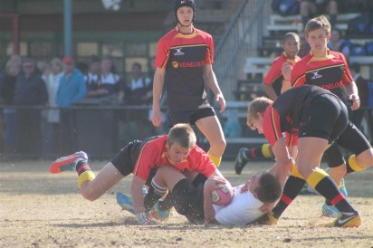 IMG_3451 (Medium)