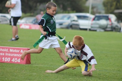 IMG_1851 (Medium)