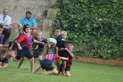 IMG_2090 (Medium)