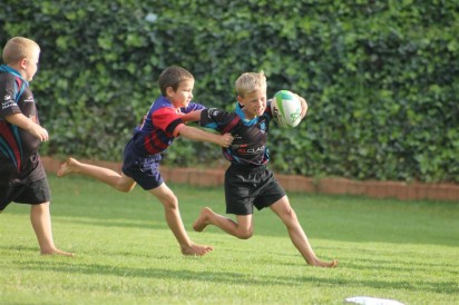 IMG_2095 (Medium)