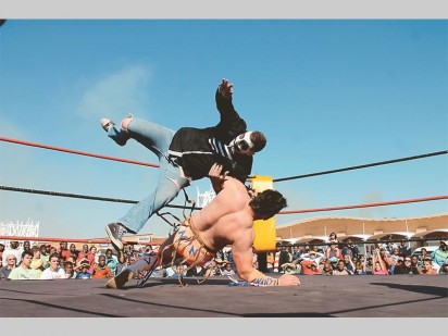 Ananzi and Two Face in action in the ring.