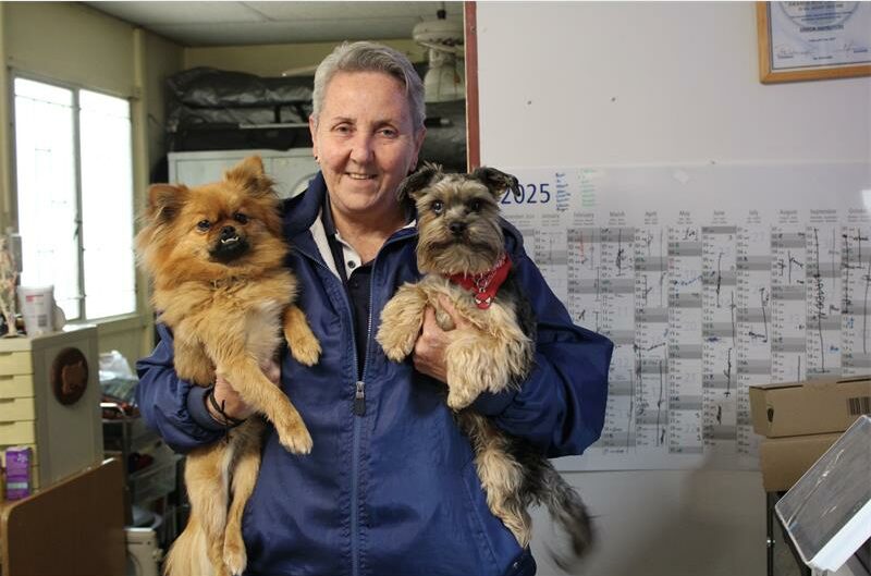 The Roodepoort/Krugersdorp SPCA has urged residents to ensure their dogs are vaccinated in the face of a very severe parvovirus season.