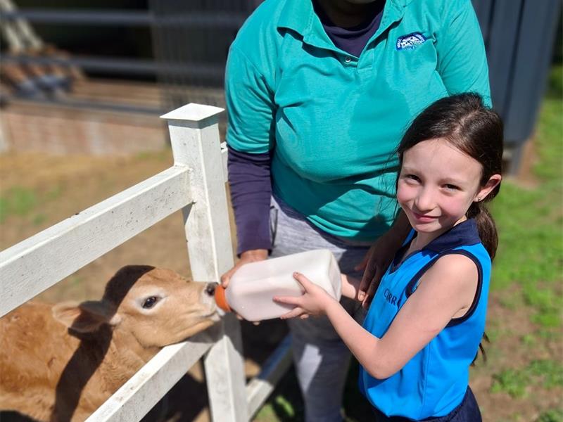 From baby calves to milk bottles, the mini farmers discovered it all.