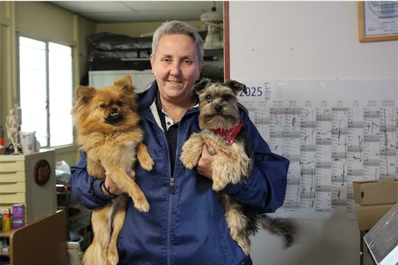 Dog owners are urged to take precautions as Canine Distemper has been reported in the area.