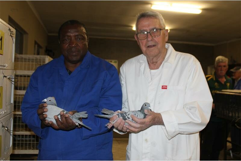 Horizon Pigeon Club sees impressive results in season finale with top placings from Beaufort West and Leeu Gamka.