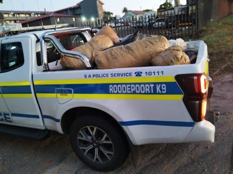 West Rand K9 Unit spoils the day for the local drug trade.
